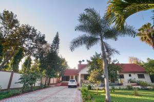a palm tree in front of a house at Bustani Home Studio in Arusha