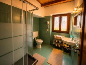 a green bathroom with a toilet and a sink at Agriturismo Giandriale in Tavarone