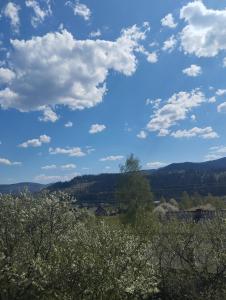 a blue sky with clouds and trees in a field at Вершина спокою in Mykulychyn