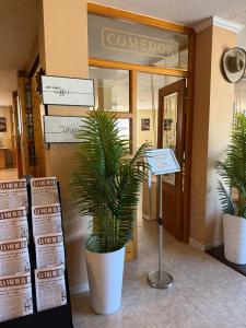 a plant in a pot in front of a building at Hotel El Refugio 3 estrellas in Cóbreces