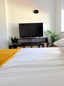 a bedroom with a bed and a flat screen tv at The Forgate exchange in Worcester