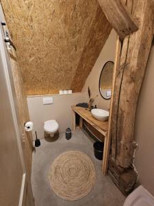a bathroom with a sink and a toilet at B&B De Emmer in Noord-Sleen +30 photos