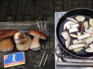 eine Pfanne mit Pilzen und ein Teller Essen in der Unterkunft Rundzelt in Bad Honnef am Rhein