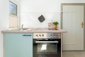 a kitchen with a stove and a sink at Alte Dorfstraße 29 REETungsinsel in Behrensdorf
