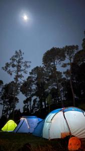 a group of tents in a field at night at Tent-It India Experiences in Mukteshwar