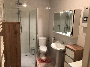 a bathroom with a toilet and a sink and a shower at Ferienwohnung in Misdroy/Ostsee in Międzyzdroje