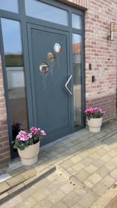 a blue door with two pots of flowers in front of it at Bed & Bresjes in Breskens