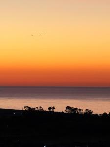 a sunset over the ocean with trees in the foreground at Panoramic Sea & Town View Oamaru 睁眼即见太平洋 I 躺观日月同辉 in Oamaru
