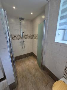 a shower with a glass door in a bathroom at Haus Küstenheide in Cuxhaven
