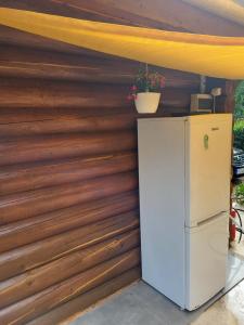 a wooden wall with a refrigerator and a plant at Woodhouse in Eger