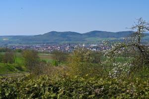 a view of a town from a hill with trees at Pension Schöpke in Bad Staffelstein +21 photos