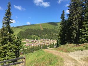 a dirt road leading down a hill with a village at Almchalet Schweigerbuam Lachtal in Hinteralm