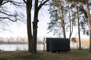 a smallshed sitting next to a tree next to a lake at Schlaffass direkt am See in Heideblick +1 photo