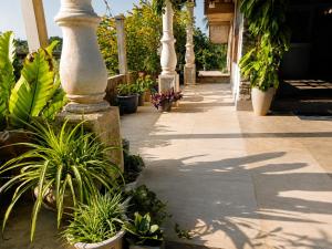 a patio with potted plants and columns in a house at Sunrise Eco Resort in Matara