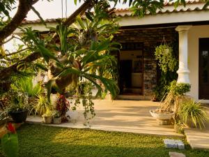 a garden with plants in front of a house at Sunrise Eco Resort in Matara