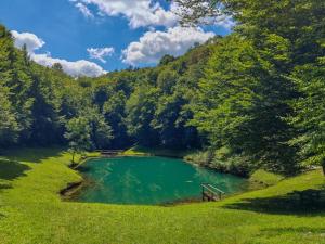 a bench sitting in the middle of a lake at Apartman Rendulić in Ogulin