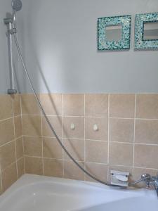 a shower with a hose hanging over a tub at Sea Wave Cottage in Pearly Beach +15 photos