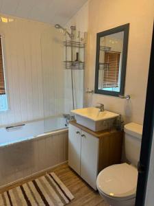 a bathroom with a sink and a toilet and a tub at Jude 615 in Barmouth +15 photos