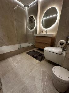 a bathroom with a toilet and a sink and a mirror at Hyper centre ville de Reims avec parking in Reims +21 photos