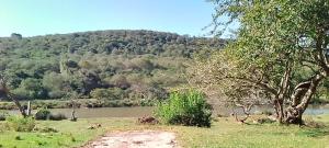 a view of a river with a mountain in the background at Sheriff's Campsite in Camperdown