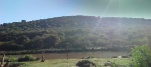a view of a river with a mountain in the background at Sheriff's Campsite in Camperdown