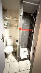 a small bathroom with a toilet and a shower at Studio Le Logis de l Hermine Centre historique Classé 3 étoiles in Blois