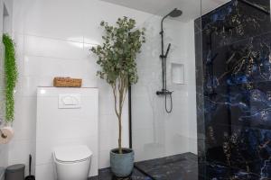 a bathroom with a shower and a toilet and a plant at Crossroads Hideaway in Brod na Kupi +39 photos
