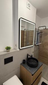 a bathroom with a sink and a toilet and a mirror at Apartament Luna in Şelimbăr +21 photos
