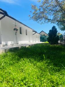 a white building with grass in front of it at Mafmaf Tiny Houses - încasare cu card de vacanță in Mamaia Sat/Năvodari