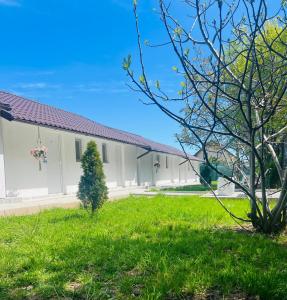 a house with a green lawn in front of it at Mafmaf Tiny Houses - încasare cu card de vacanță in Mamaia Sat/Năvodari
