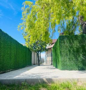 a fence with a tree in front of a house at Mafmaf Tiny Houses - încasare cu card de vacanță in Mamaia Sat/Năvodari