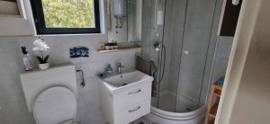 a bathroom with a shower and a toilet and a sink at House Darin dvor in Vela Luka +28 photos