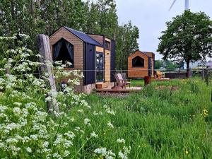 a cabin in the middle of a field of grass at Liberty Lodge X by Tiny Away in Kalmthout
