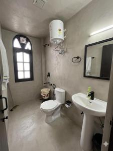 a bathroom with a toilet and a sink and a mirror at Siesta B&B Private Balcony & Himalayan Sunrise Views in Shimla