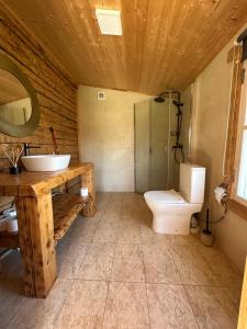 a bathroom with a toilet and a sink and a mirror at Metsatoa in Alliklepa