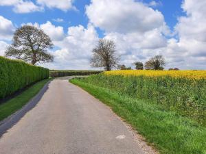 a dirt road next to a field of yellow flowers at Harvest Cottage in Anderby
