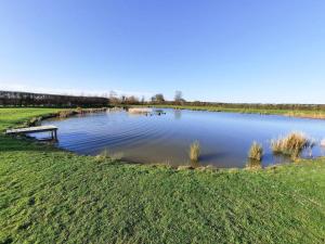 a large pond in a field with grass at Harvest Cottage in Anderby +2 photos