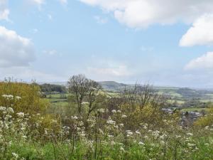a field of white flowers and trees on a hill at St James Cottage in Shaftesbury