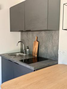 a kitchen with a sink and a counter top at Lodges sous les oliviers in Propriano +24 photos