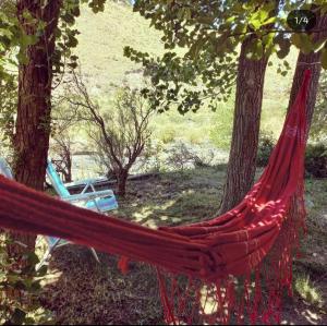 a hammock in the middle of two trees at La Blau in Mendoza