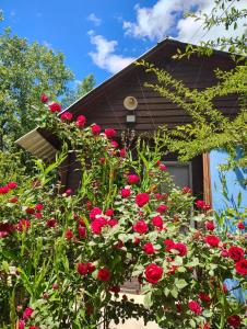 a bunch of red roses in front of a house at La Blau in Mendoza