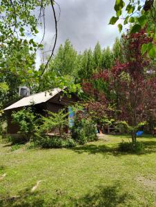 a small house in a yard with trees and grass at La Blau in Mendoza