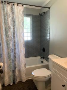 a bathroom with a toilet and a shower curtain at Cozy Columbia Retreat in Columbia