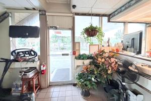 a kitchen with potted plants on the counter and an open door at Campus Inn by Hotel O Gainesville - University Area in Gainesville