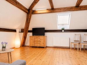 a living room with a tv and a wooden floor at Symbiola River Apartments in Děčín
