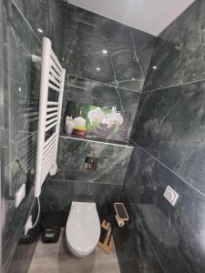 a bathroom with a toilet and a tv on the wall at Doré in Carhaix-Plouguer +10 photos