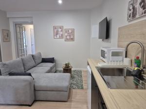 a kitchen and living room with a couch and a sink at Doré in Carhaix-Plouguer