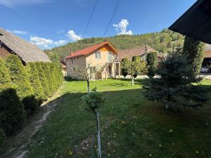 a yard with a christmas tree and a house at Lucatony's Guesthouse in Cîmpeni