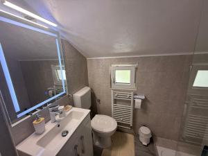a bathroom with a sink and a toilet and a mirror at Lucatony's Guesthouse in Cîmpeni