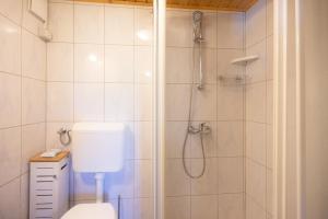 a white bathroom with a shower and a toilet at Hiška Janko in Bohinjska Bistrica +22 photos